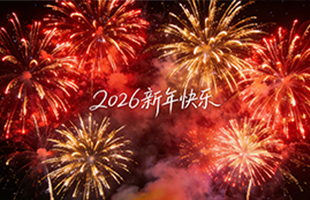 麗水威儀自動(dòng)化技術(shù)有限公司祝大家新年快樂(lè)！